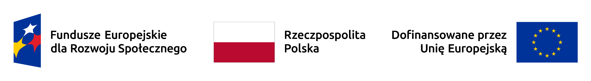Fundusze Europejskie dla Rozwoju Społecznego, Rzeczpospolita Polska, Dofinansowane przez Unię Europejską